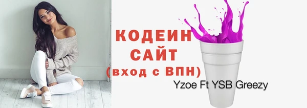 гашик Ельня