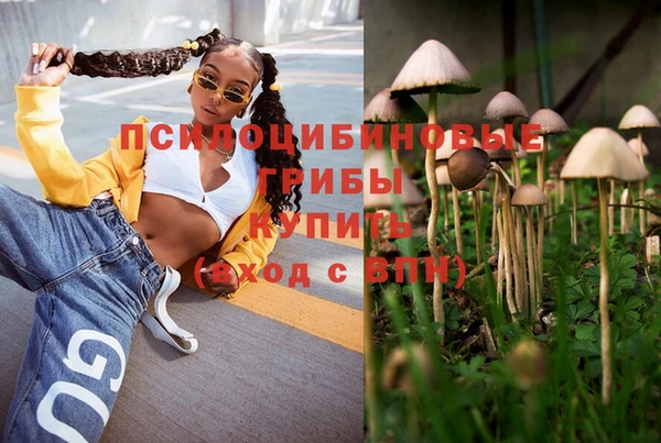 винт Алексеевка