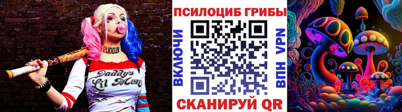 Галлюциногенные грибы Psilocybine cubensis  Котельники 